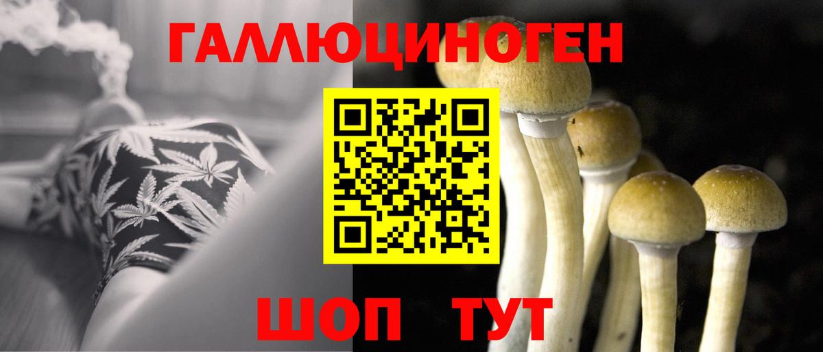 где продают наркотики  Галлюциногенные грибы Psilocybe  Псилоцибиновые грибы прущие грибы  Вход с VPN  Верхняя Пышма 